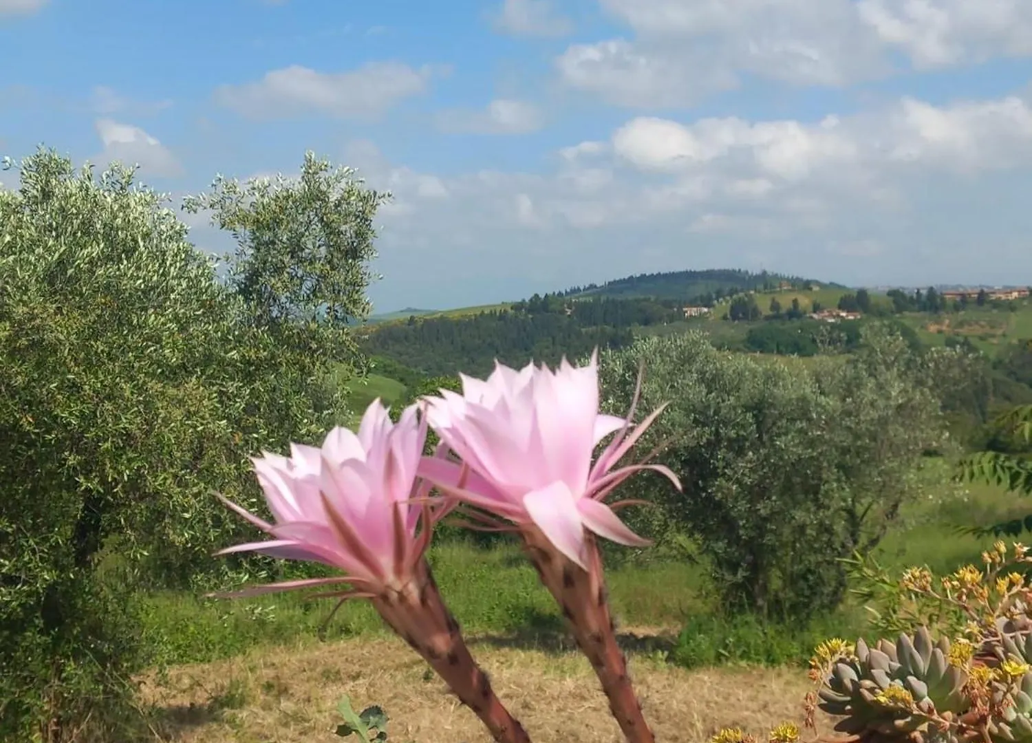 Guest house Chianti Art Room Poggibonsi