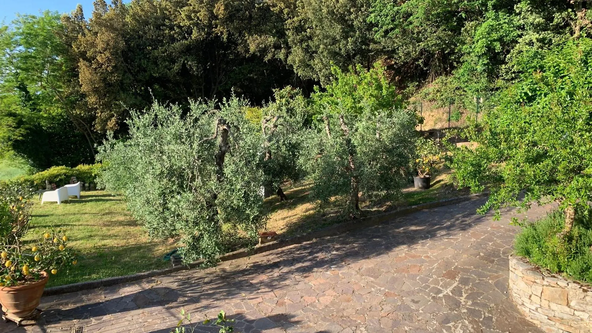 Chianti Art Room Poggibonsi Guest house
